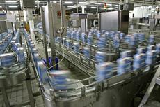 Production Line in Modern Dairy Factory